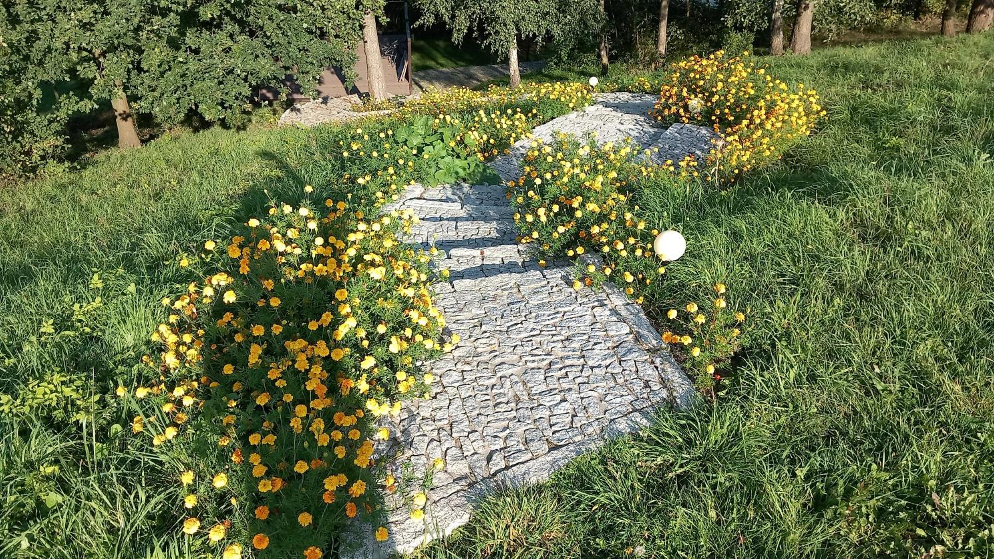 Mylin Villa Chrzypsko Wielkie Dış mekan fotoğraf