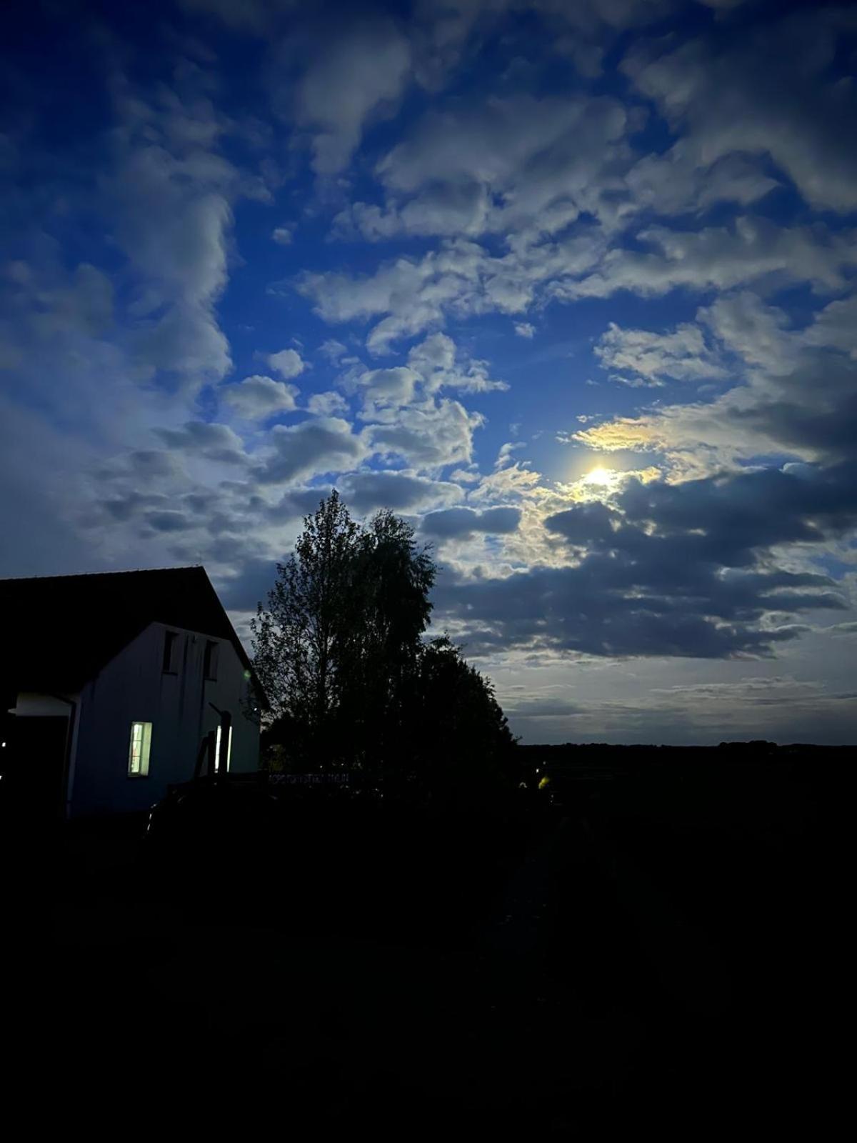 Mylin Villa Chrzypsko Wielkie Dış mekan fotoğraf