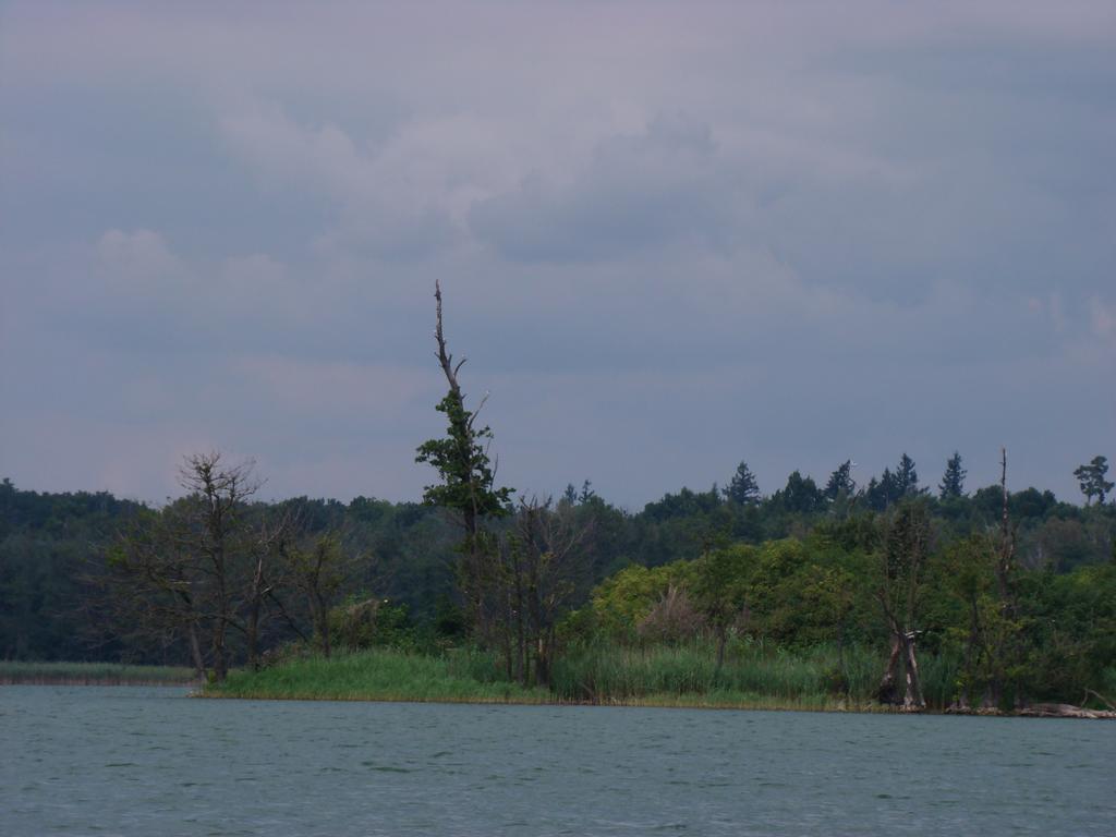 Mylin Villa Chrzypsko Wielkie Dış mekan fotoğraf